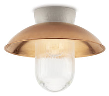 Kép betöltése a galériamegjelenítőbe: THPG mennyezetre szerelhető alapporcelán M