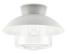 Kép betöltése a galériamegjelenítőbe: THPG mennyezetre szerelhető alapporcelán M