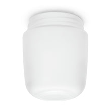 Kép betöltése a galériamegjelenítőbe: Lisilux mennyezetre szerelhető, hengeres tejüveggel, 60 W
